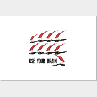 Use your brain Posters and Art